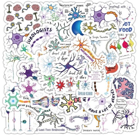 54 Pcs Neuron Stickers, Science Brain Cell Themed Stickers with Sizes 1.3-3 Inches, Waterproof Vinyl Stickers for Laptop Water Bottle Notebook, Educational Sticker for Science Lovers Kids Adults in Kuwait