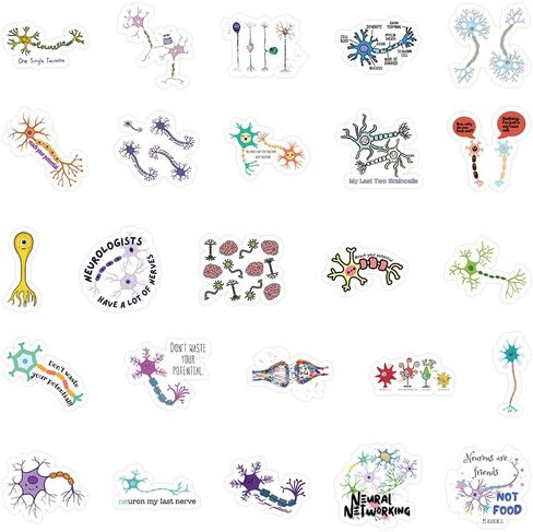 54 Pcs Neuron Stickers, Science Brain Cell Themed Stickers with Sizes 1.3-3 Inches, Waterproof Vinyl Stickers for Laptop Water Bottle Notebook, Educational Sticker for Science Lovers Kids Adults in Kuwait