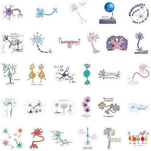 54 Pcs Neuron Stickers, Science Brain Cell Themed Stickers with Sizes 1.3-3 Inches, Waterproof Vinyl Stickers for Laptop Water Bottle Notebook, Educational Sticker for Science Lovers Kids Adults in Kuwait