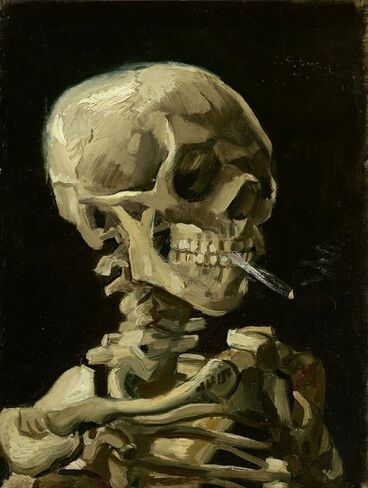 مجموعات الرسم الماسي 5D من liziciti، فان جوخ للبالغين، مجموعات فنية ماسية مقاس 12 × 16 بوصة، صورة فنية قماشية كاملة الحفر لتزيين الحائط (جمجمة التدخين) in Kuwait