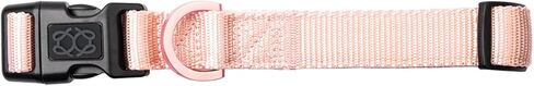 The DOGISTRY - City Collar - Blush - طوق كلب ممتاز مع نيوبرين مبطن ونسيج مميز - تصميم راقي وفخامة يومية - متوسط in Kuwait