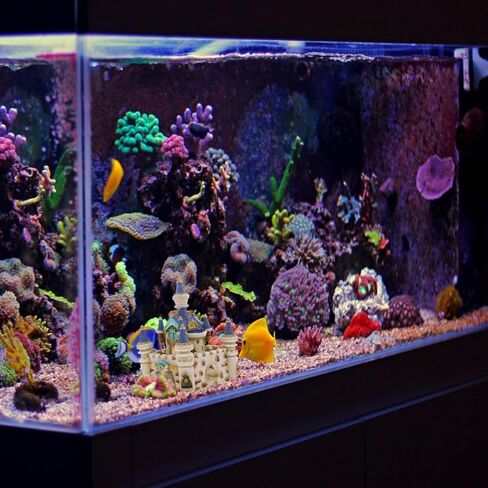 Balacoo خزان الأسماك القلعة ديكور 5.70X4.33X4.33In حوض السمك تحت الماء القلعة زخرفة الراتنج مخبأ للأسماك الاستوائية بيتا in Kuwait