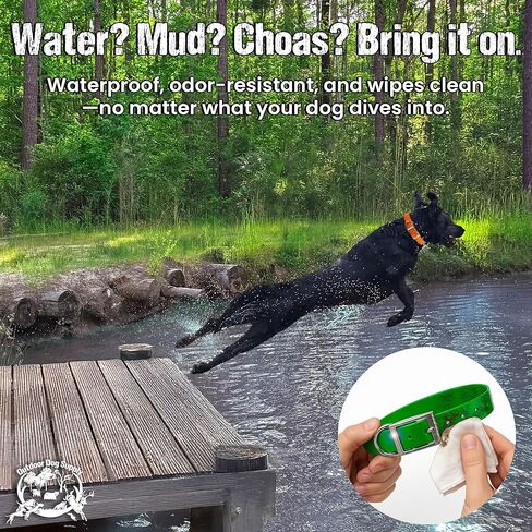 1" Pink Camo D-Ring & Center O-Ring Dog Collar with Custom 3/4" Brass Nameplate | Durable, Odor-Resistant, Adjustable for Medium & Large Dogs, USA-Made (21") in Kuwait