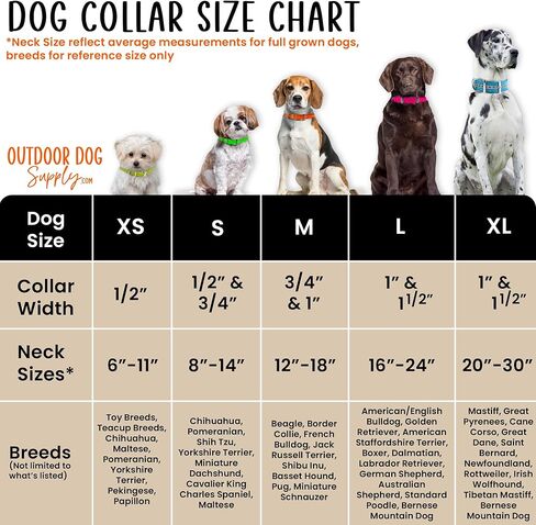 1" Pink Camo D-Ring & Center O-Ring Dog Collar with Custom 3/4" Brass Nameplate | Durable, Odor-Resistant, Adjustable for Medium & Large Dogs, USA-Made (21") in Kuwait