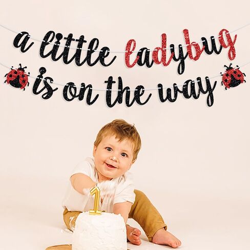 A Little Ladybug is on the Way Banner, Bug Theme Baby Shower Party Decor, It’s A Little Lady, Spring Ladybug Baby’s 1st Birthday Baby Shower Party Decorations Supplies Red Glitter in Saudi Arabia