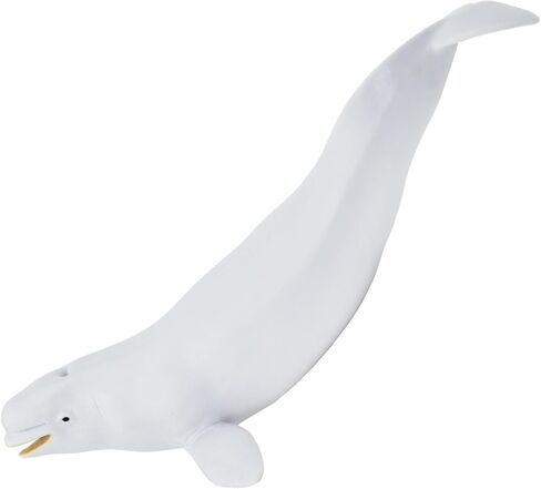 Safari Ltd. Beluga Whale Figurine - Lifelike 8" Plastic Model Figure - Fun Educational Play Toy for Boys, Girls & Kids Ages 3+ in Saudi Arabia