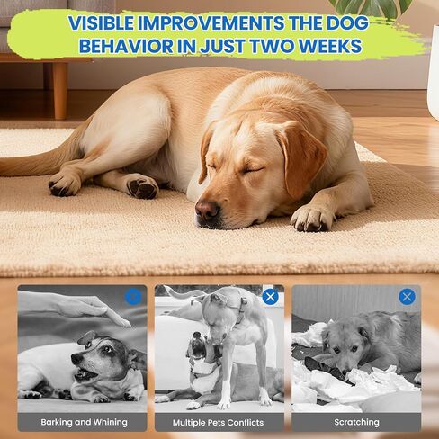موزع روائح مهدئ للكلاب، 6 في 1 ناشر مهدئ للفيرومونات للكلاب، فرمون مريح للكلاب لتخفيف التوتر والقلق وتقليل العدوانية، يساعد في تدريب الكلب على التبول، 2 موزع روائح 4 عبوات (48 مل) in Kuwait