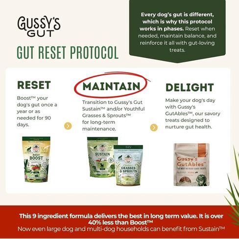 Gussy's Gut Sustain Bioavailable Fermented Prebiotic Supplement Powder for Dog Gut, Digestive & Overall Health- 9 Human Grade Ingredients – Gussy’s Maintain Phase (7.5 Oz) in Saudi Arabia