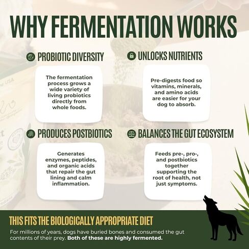 Gussy's Gut Sustain Bioavailable Fermented Prebiotic Supplement Powder for Dog Gut, Digestive & Overall Health- 9 Human Grade Ingredients – Gussy’s Maintain Phase (7.5 Oz) in Saudi Arabia