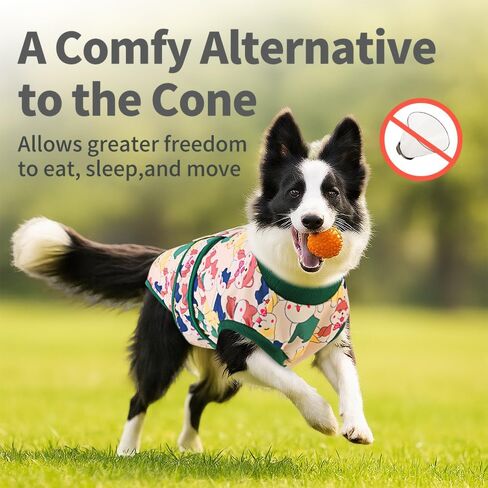 Surgery Recovery Suit for Female/Male Dog After Spay/Neuter, Soft Bandana Set Included, E-Collar Cone Alternative to Stop Licking Abdominal Wounds, Small Dogs Full Body Onesies, Medical Pet Bodysuit in Saudi Arabia