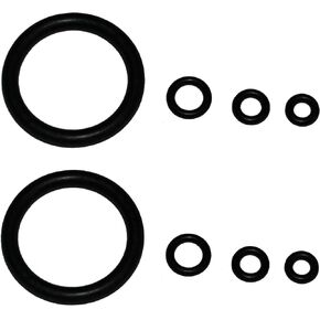 Annual Maintenance O-Ring Kit for MSR Whisperlite & Whisperlite International - Double Kit