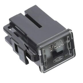 IXGKHC 1989-2015 Gray #OEM 24370-89920 2437089920 FL75A 75A 75amp 75 Fuse