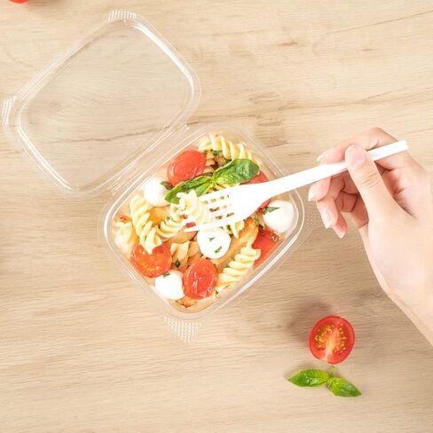 Restaurantware Thermo Tek 24 Ounce Deli Food Containers 100 Anti-Fog Hinged Lid Containers - Freezable Rectangle Clear Plastic To Go Food Containers Disposable in Kuwait