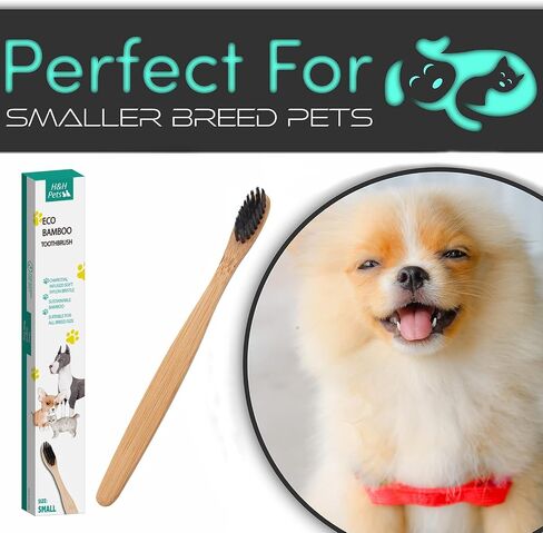 H&H Pets Bamboo Toothbrush Set for Dogs and Cats - Ultra Soft Bristles & Biodegradable Wooden Toothbrush, Puppy Supplies, Dog Dental Set, Eco-Friendly Pet Supplies (Large; 3-Count Pack) in Saudi Arabia