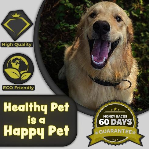 H&H Pets Bamboo Toothbrush Set for Dogs and Cats - Ultra Soft Bristles & Biodegradable Wooden Toothbrush, Puppy Supplies, Dog Dental Set, Eco-Friendly Pet Supplies (Large; 3-Count Pack) in Saudi Arabia