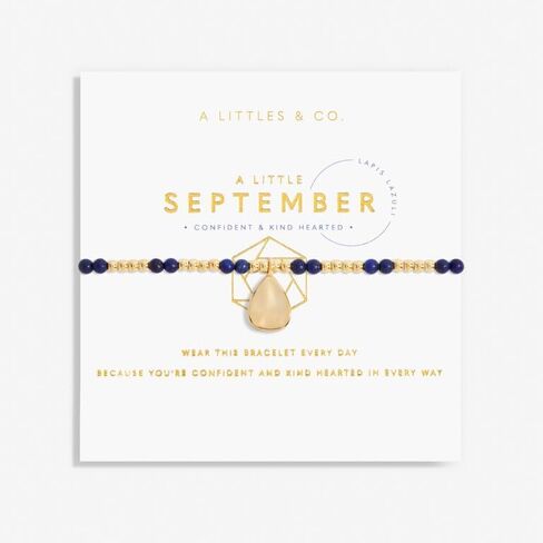 A Little Gold Birthday Birthstone Month Stretch Women's Adjustable Bracelet in Saudi Arabia