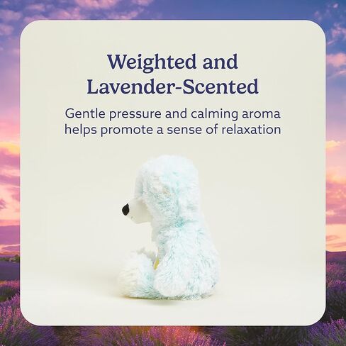 warmies Microwavable & Weighted Stuffed Animals, Celebration Bear - Heated Stuffed Animal Plushie for Warmth & Comfort - Cute Soft Plush Toys for Adults & Children (Boys, Girls, Babies & Toddlers) in Saudi Arabia