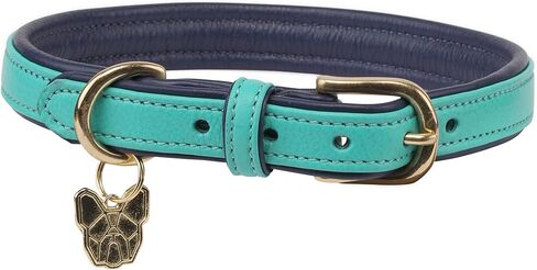 Shires Digby & Fox Padded Leather Dog Collar (Small, Black) in Saudi Arabia