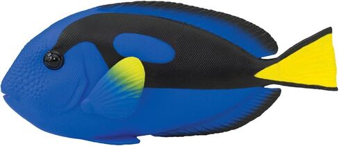 Safari Ltd. Blue Tang Figurine - Detailed 4.75" Plastic Model Figure - Fun Educational Play Toy for Boys, Girls & Kids Ages 3+ in Saudi Arabia