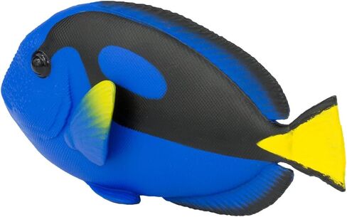 Safari Ltd. Blue Tang Figurine - Detailed 4.75" Plastic Model Figure - Fun Educational Play Toy for Boys, Girls & Kids Ages 3+ in Saudi Arabia