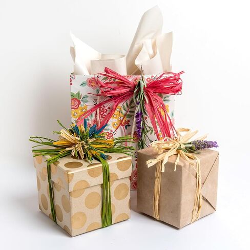 SuperMoss (40519) Raffia Craft Kit, Spring Coastal Theme, 5 Colored Bows in Saudi Arabia