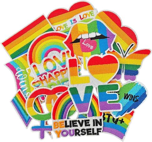 WILDREEDS 14 قطعة LGBT حديد على الرقع، رقع مطرزة بفخر قوس قزح، LGBTQ ملونة مخيطة على رقعة للملابس والسترة والجينز وحقيبة الظهر، مثلي الجنس مثليه ثنائيي الجنس والمتحولين جنسيًا، ديكور الملابس DIY in Kuwait