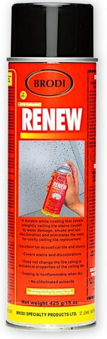 Renew Ceiling Tile Spray Paint, Commercial-Grade, Conceals Water & Smoke Stains, Fire-Retardant, Preserves Acoustics (Pack of 1) in Saudi Arabia