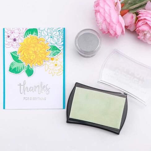 BAOFALI 2Pcs /Set Embossing Ink Pad Transparent Stamp Inkpad Set with Embossing Powder Tool Applicatorfor DIY Planner Scrapbook Card Making DIY Transparent Stamp Cling Seal Scrapbook StampCraft in Saudi Arabia