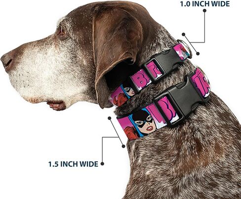 Buckle-Down Batgirl Bubble Letters with Stars Pink/White Plastic Clip Collar, Large/15-26" in Saudi Arabia