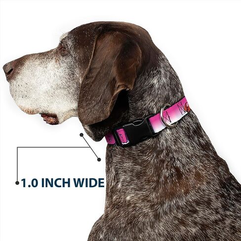Buckle-Down Batgirl Bubble Letters with Stars Pink/White Plastic Clip Collar, Large/15-26" in Saudi Arabia