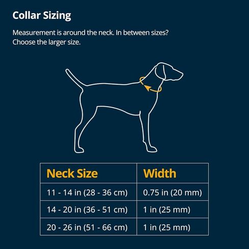 Ruffwear, Ridgeline Dog Collar, Reflective Webbing, Magnetic Buckle, One-Hand On/Off, Aluminum V-Ring, Separate ID Tag Ring with Silicone Silencer, Low-Bulk 3-Bar Adjuster, Obsidian Black, 14"-20" in Saudi Arabia