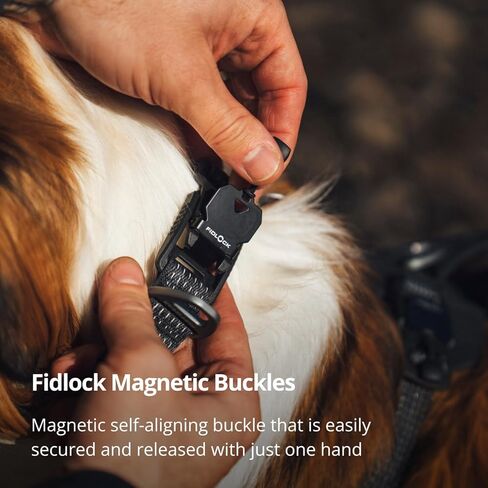 Ruffwear, Ridgeline Dog Collar, Reflective Webbing, Magnetic Buckle, One-Hand On/Off, Aluminum V-Ring, Separate ID Tag Ring with Silicone Silencer, Low-Bulk 3-Bar Adjuster, Obsidian Black, 14"-20" in Saudi Arabia