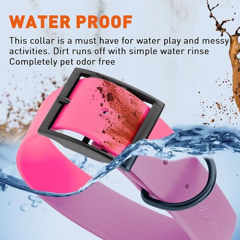 Dogline Biothane Waterproof Dog Collar Strong Coated Nylon Webbing with Black Hardware Odor- Proof for Easy Care Easy to Clean High Performance Fits Small Medium or Large Dogs, Passionfruit Pink in Saudi Arabia