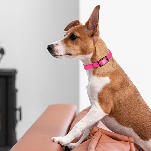 Dogline Biothane Waterproof Dog Collar Strong Coated Nylon Webbing with Black Hardware Odor- Proof for Easy Care Easy to Clean High Performance Fits Small Medium or Large Dogs, Passionfruit Pink in Saudi Arabia