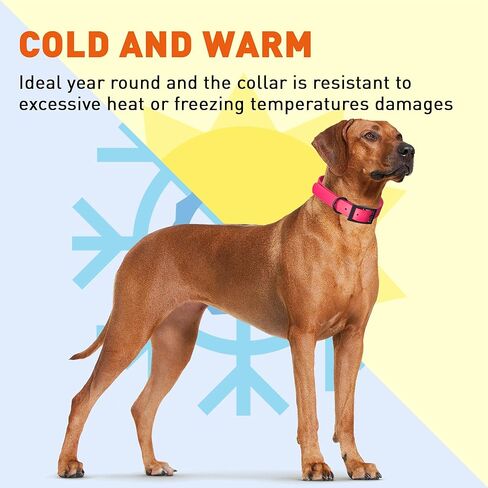 Dogline Biothane Waterproof Dog Collar Strong Coated Nylon Webbing with Black Hardware Odor- Proof for Easy Care Easy to Clean High Performance Fits Small Medium or Large Dogs, Passionfruit Pink in Saudi Arabia