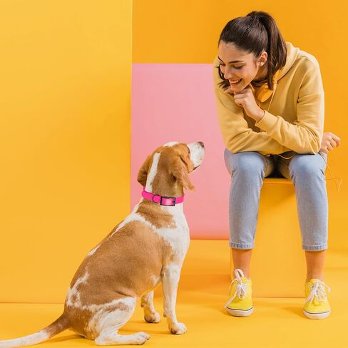 Dogline Biothane Waterproof Dog Collar Strong Coated Nylon Webbing with Black Hardware Odor- Proof for Easy Care Easy to Clean High Performance Fits Small Medium or Large Dogs, Passionfruit Pink in Saudi Arabia