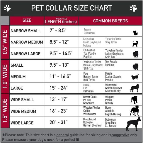 طوق ديزني للحيوانات الأليفة، مشبك بلاستيكي لطوق الكلب، ويني ذا بوه السعيد، أصفر ذهبي، من 15 إلى 24 بوصة بعرض 1.0 بوصة in Kuwait