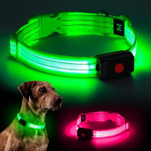 Light Up Dog Collar for Night Walking Flashing, LED Dog Collar Light Rechargeable Reflective Dog Collar Water-Resistant Adjustable Size Dog Collars for Medium Dogs in Saudi Arabia