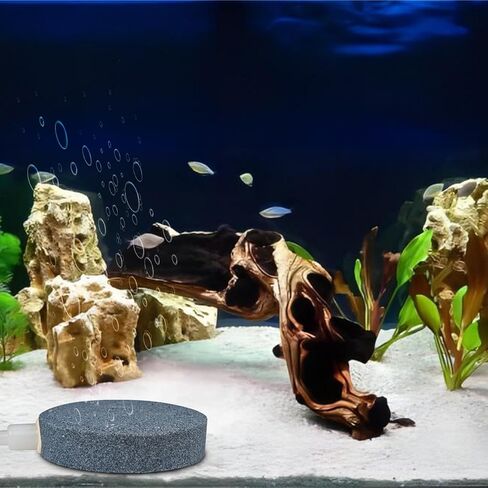 أحجار هواء لحوض السمك 1.5 بوصة، 10 عبوات من حجر فقاعات خزان الأسماك، موزع فقاعات مهوية، ملحقات مضخة هواء نانو، على شكل قرص in Kuwait