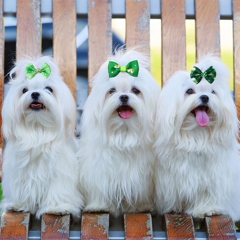 Weewooday 40 Independence Day Pieces Dog Hair Bows Puppy Dog Hair Accessories Pet Hair Flag Clover Bows with Elastic Rubber Band for Girl Dog Accessories for St. Patrick's Day in Saudi Arabia
