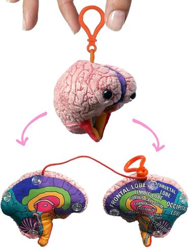 GIANT MICROBES Brain Model Plush Keychain، نماذج التشريح، هدايا علم الأعصاب، هدايا علم النفس، نموذج الدماغ ثلاثي الأبعاد، سحر الحقيبة in Saudi Arabia