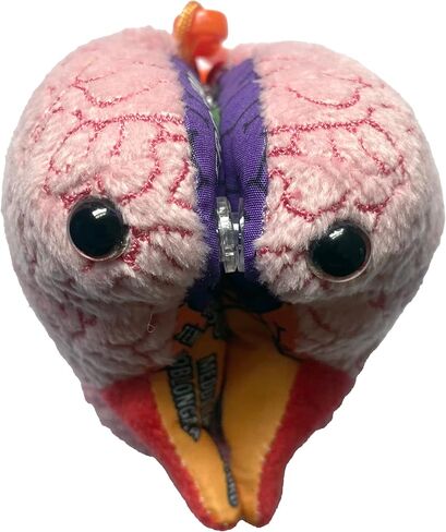 GIANT MICROBES Brain Model Plush Keychain، نماذج التشريح، هدايا علم الأعصاب، هدايا علم النفس، نموذج الدماغ ثلاثي الأبعاد، سحر الحقيبة in Saudi Arabia
