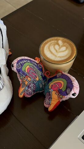 GIANT MICROBES Brain Model Plush Keychain، نماذج التشريح، هدايا علم الأعصاب، هدايا علم النفس، نموذج الدماغ ثلاثي الأبعاد، سحر الحقيبة in Saudi Arabia