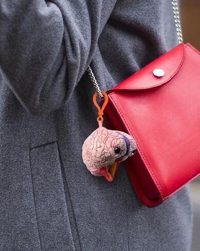 GIANT MICROBES Brain Model Plush Keychain، نماذج التشريح، هدايا علم الأعصاب، هدايا علم النفس، نموذج الدماغ ثلاثي الأبعاد، سحر الحقيبة in Saudi Arabia