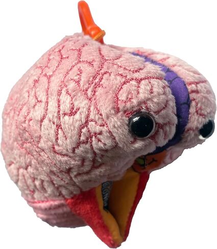 GIANT MICROBES Brain Model Plush Keychain، نماذج التشريح، هدايا علم الأعصاب، هدايا علم النفس، نموذج الدماغ ثلاثي الأبعاد، سحر الحقيبة in Saudi Arabia