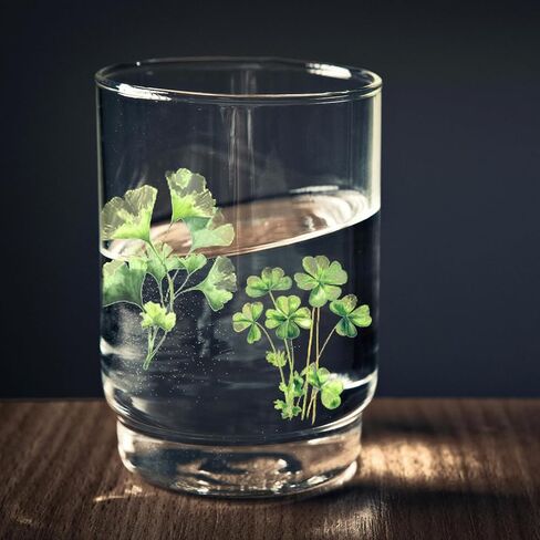 100PCS Leaf PET Stickers, Green Leaf Sticker for Envelopes, Transparent Plant Stickers, Waterproof Sticker for DIY Crafts Water Bottles Journaling Scrapbooking Planner Laptop Phone Decoration in Kuwait