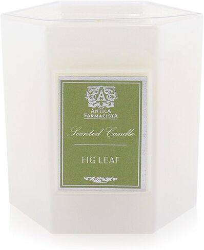 Antica Farmacista Scented Candle, Lemon Verbena & Cedar, 9 Ounce in Kuwait