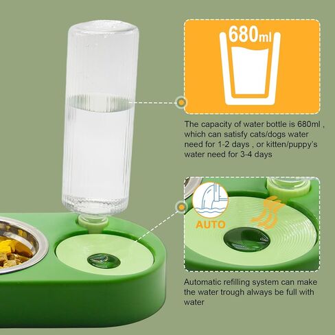 مجموعة القطط الصغيرة للمبتدئين in Kuwait