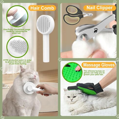 مجموعة القطط الصغيرة للمبتدئين in Kuwait