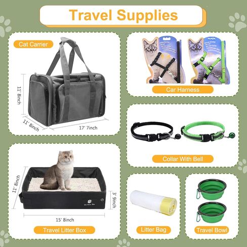 مجموعة القطط الصغيرة للمبتدئين in Kuwait